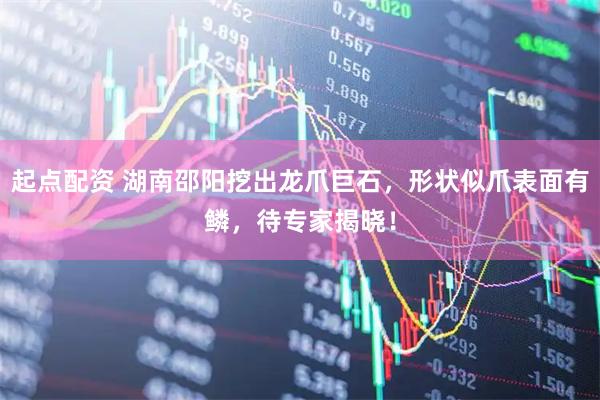 起点配资 湖南邵阳挖出龙爪巨石，形状似爪表面有鳞，待专家揭晓！