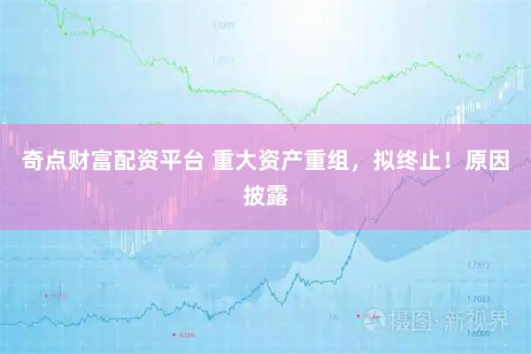 奇点财富配资平台 重大资产重组，拟终止！原因披露