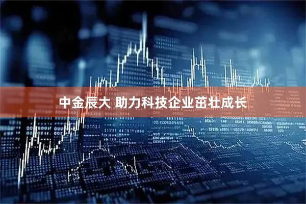 中金辰大 助力科技企业茁壮成长