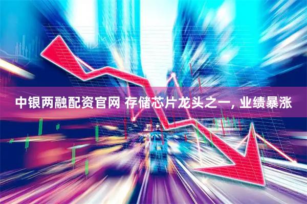中银两融配资官网 存储芯片龙头之一, 业绩暴涨