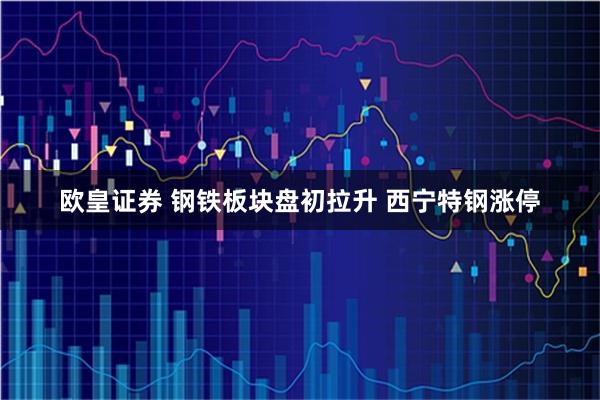 欧皇证券 钢铁板块盘初拉升 西宁特钢涨停