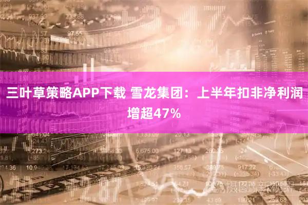 三叶草策略APP下载 雪龙集团：上半年扣非净利润增超47%