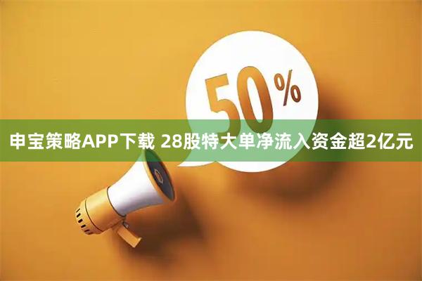 申宝策略APP下载 28股特大单净流入资金超2亿元